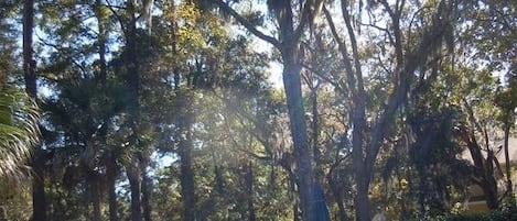 Alberca infinita y alberca climatizada