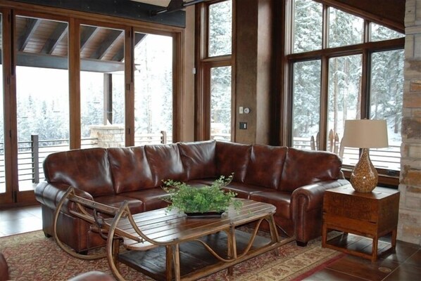 TV, fireplace, table tennis, books