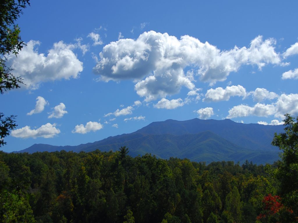 A mountain range with a forested foreground and a clear sky with clouds.