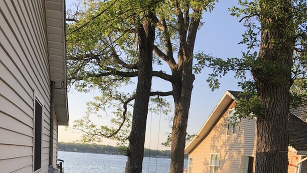 A lakeside property with a picnic table, two large trees, and a house with a view of the water. - Sand Lake Cottage - near Tawas (National City)