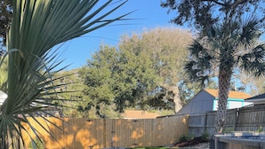 Ein gepflasterter Weg in einem Garten mit Holzzaun, einer Palme und einem Rasen.