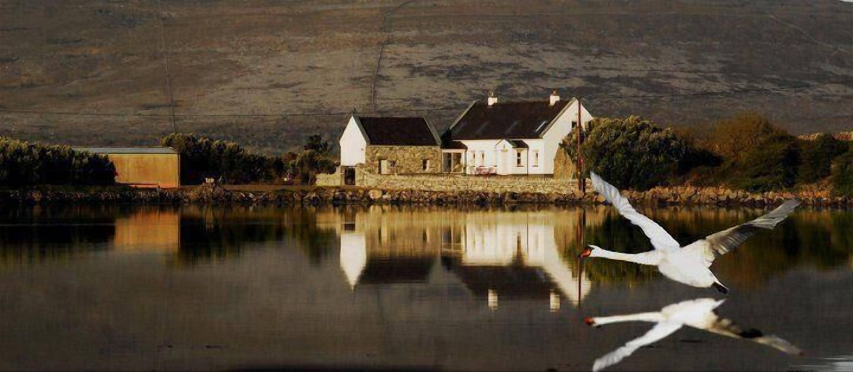 Fly past at the Cottage