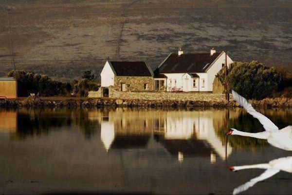 Fly past at the Cottage