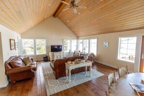 Chimenea, reproductor de DVD, libros y videoteca 