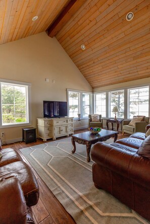 Fireplace, DVD player, books, video library