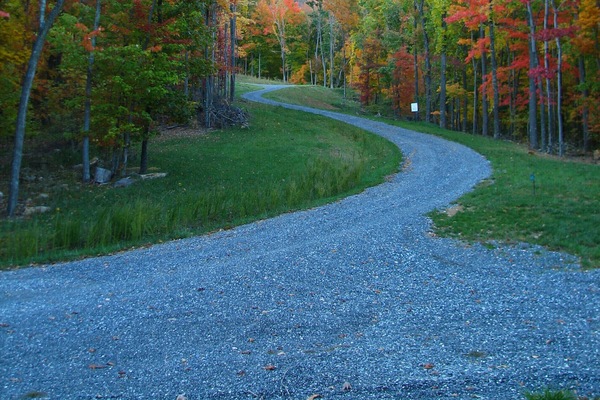 Fall colors on driveway