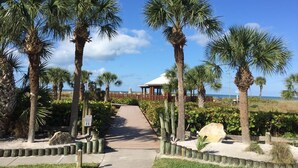 A pathway leading to a gazebo with palm trees and a beach view.