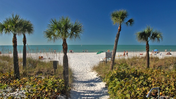 A beach path leading to the shore with palm trees and beachgoers.