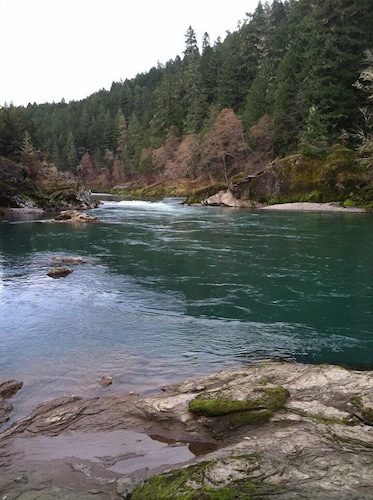 River Vista Homes: Perfect for Fishing, Swimming, and Relaxing by the Water