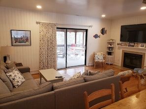 Smart TV, fireplace, books