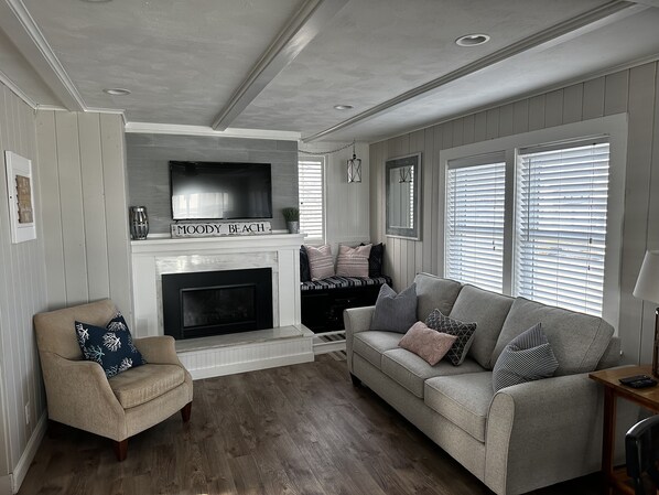 Smart TV, fireplace, video game console, books