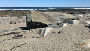 Una playa rocosa con grandes rocas y una vista despejada del océano.
