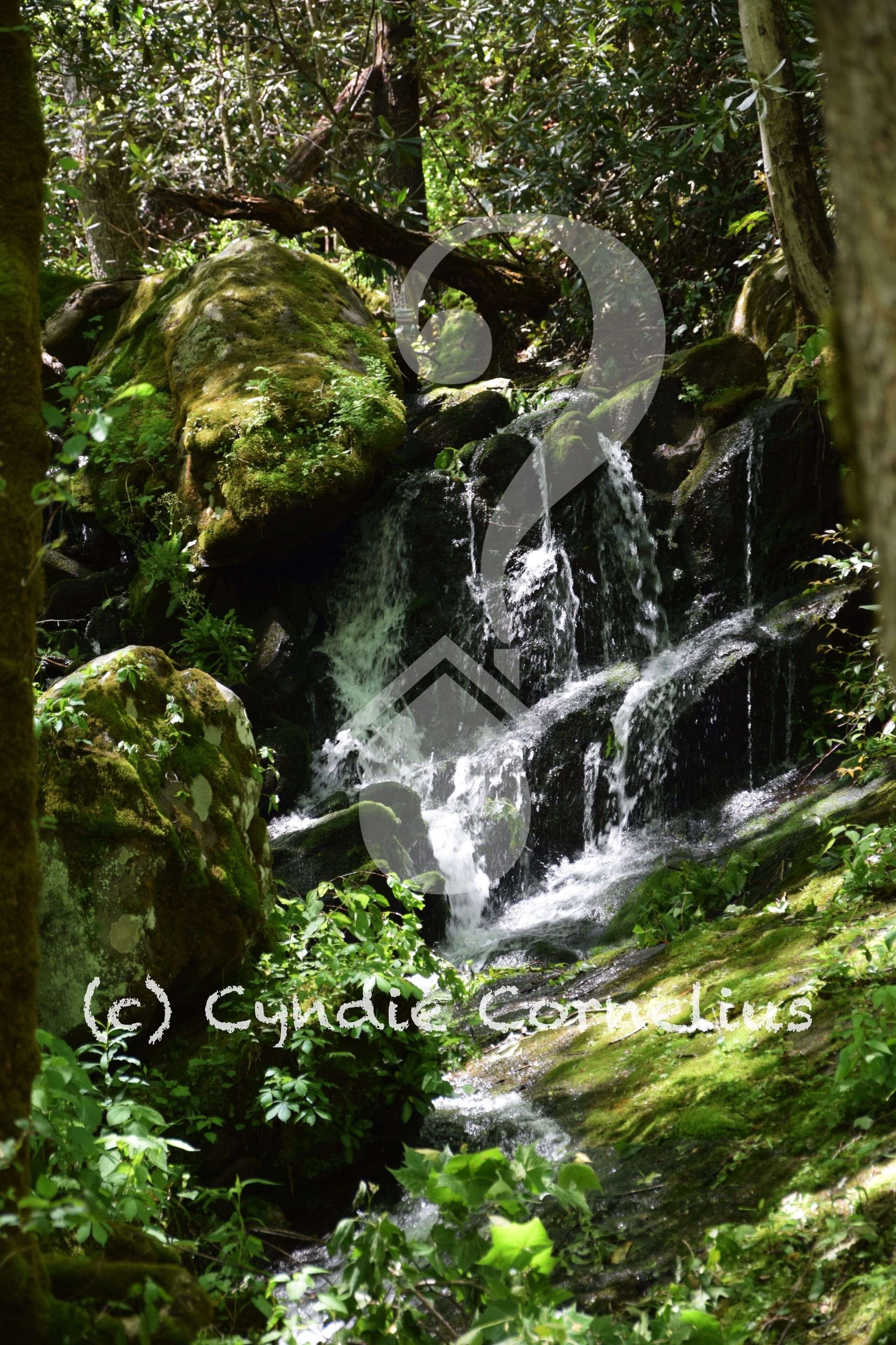 A natural waterfall in a forested area.