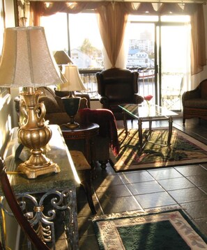 Smart TV, fireplace, DVD player, books