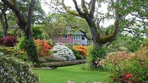 A lush garden with various flowering shrubs and a house in the background. - WATER'S EDGE DOWNTOWN SUNSET WEST BALC, KING BDRM, A/C, 90 DAY MIN, (Victoria)