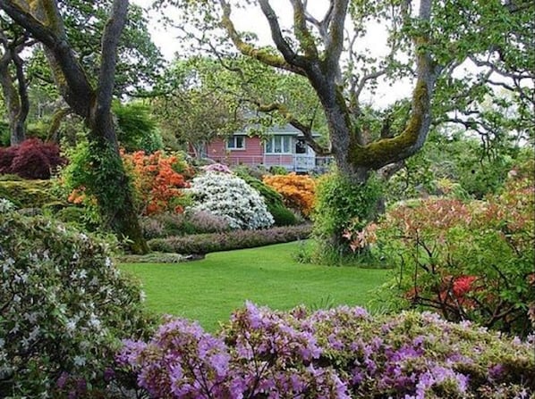 Un exuberante jardín con arbustos florecientes y una casa al fondo.