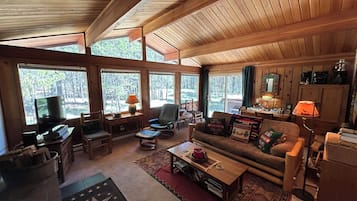 智能电视、壁炉、电子游戏、DVD 播放器