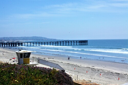 The Shark - Pacific Beach