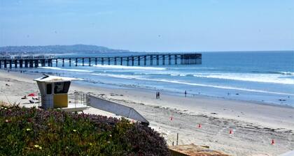 The Shark - Pacific Beach