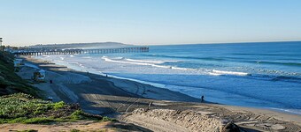 The Shark - Pacific Beach