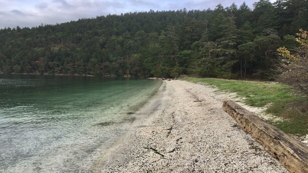 Une plage de galets bordée d’une eau claire, entourée d’une forêt dense.