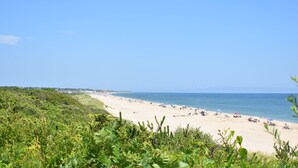 A beach with clear skies, sandy shore, and greenery in the foreground.