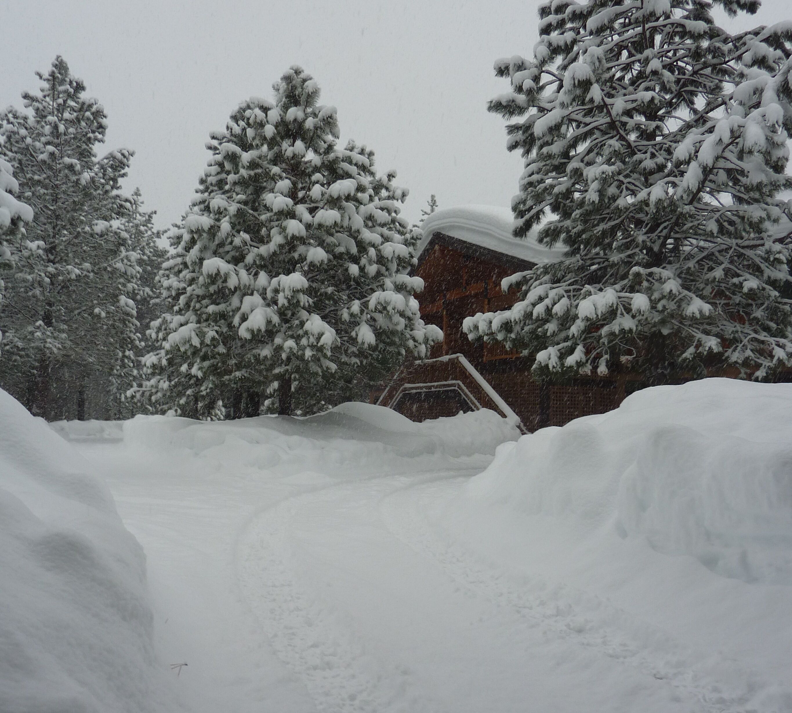 Un paysage enneigé avec une cabane en bois et des arbres chargés de neige.
