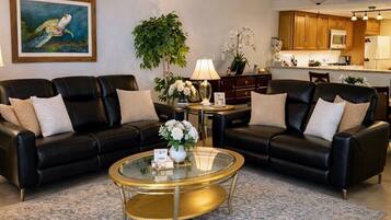 Smart TV, chimenea, libros y estéreo