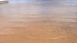 Una platja sorrenca amb marques de pneumàtics ben visibles.