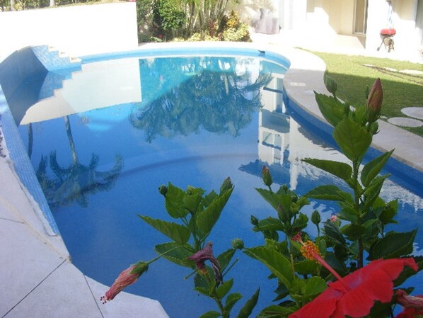 A swimming pool with clear blue water, surrounded by a white deck and green plants.