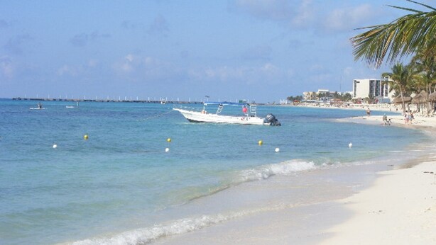 Une plage avec un bateau ancré près du rivage, une eau d’un bleu limpide et une plage de sable bordée de palmiers.