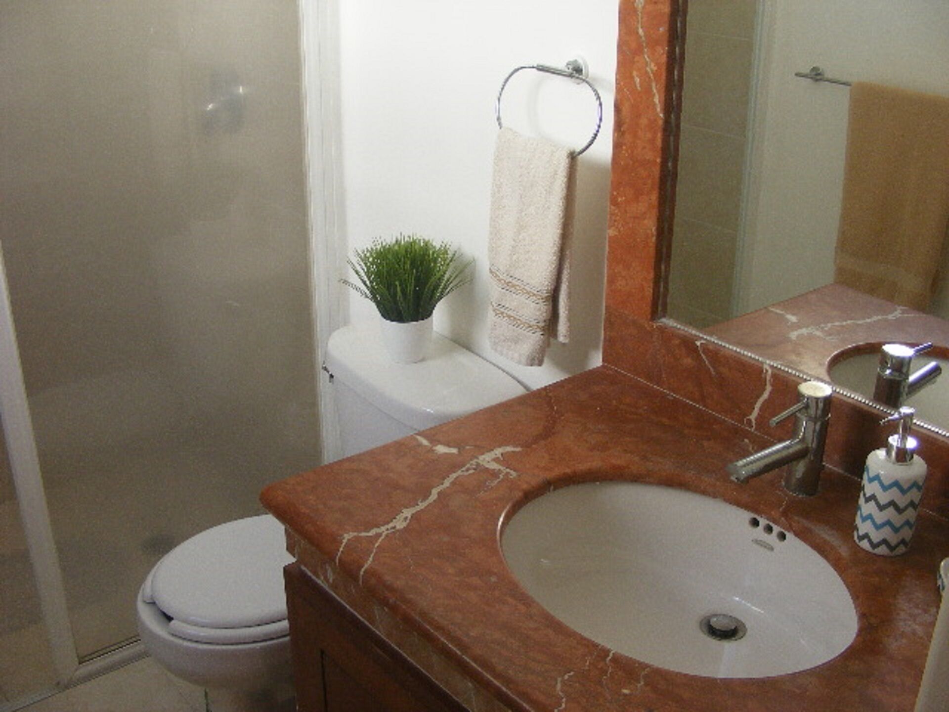 A bathroom with a white toilet, a marble sink, and a small potted plant on the toilet tank.