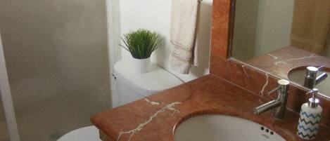 A bathroom with a white toilet, a marble sink, and a small potted plant on the toilet tank.