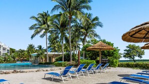 Property grounds - New! Oceanfront Showhouse Casa Mar • NO HIDDEN FEES! Pools •  Hot Tubs • 2 Kings (Key Largo)