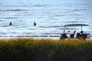海灘