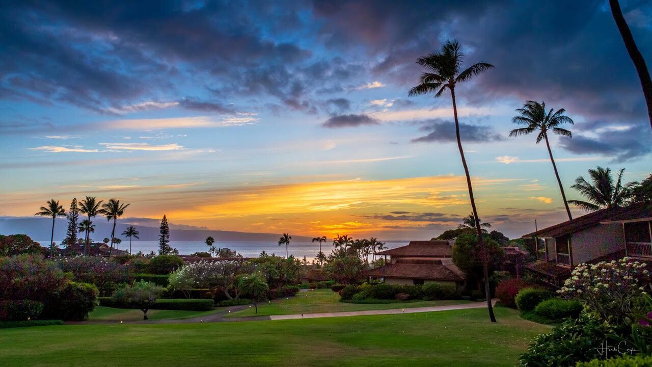 A lush garden with palm trees, a well-maintained lawn, and a view of the ocean at sunset.