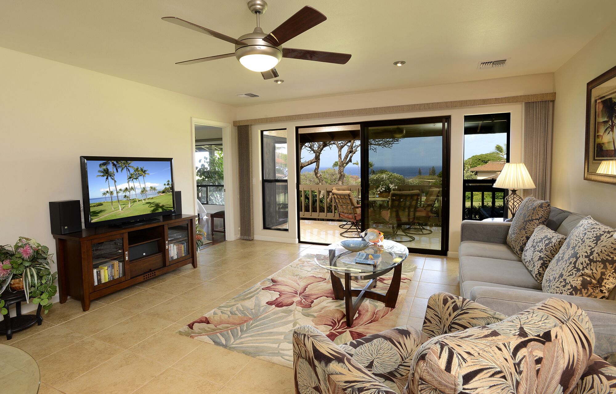 Smart TV, DVD player, books, video library