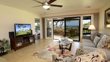 Smart TV, DVD player, books, video library