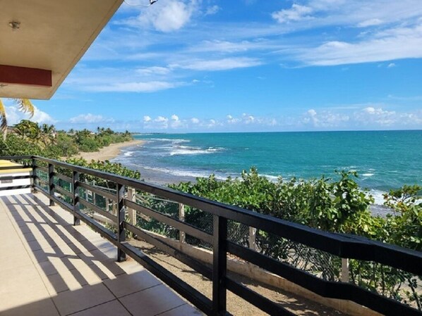 Property grounds - Caribbean Beach Front Gem 1&2, Family Vacation Compound (Punta Pozuelo, Guyama)