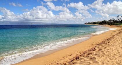 J200 - Unidad más cercana al océano, Suite en esquina con una auténtica decoración de isla 2BD / 2BA