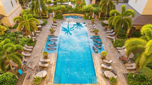 A rooftop pool with a palm tree design, surrounded by lounge chairs and potted plants.
