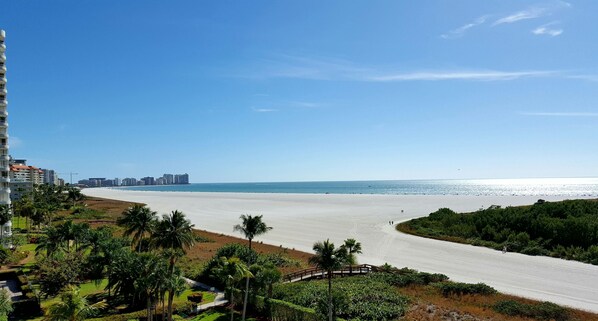 En la playa, camastros y toallas de playa 