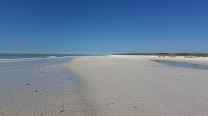 On the beach, sun-loungers, beach towels - 5 Star Marco Island Beachfront Condo – Limited-Time Deals Available! (Marco Island)