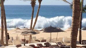 A beach with palm trees, lounge chairs, and umbrellas. - Ocean view, one bedroom, steps to the pool and beach.  Pride in ownership. (San Jose del Cabo)