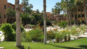 A landscaped garden with palm trees, a variety of plants, and a building with multiple balconies in the background. - Ocean view, one bedroom, steps to the pool and beach.  Pride in ownership. (San Jose del Cabo)