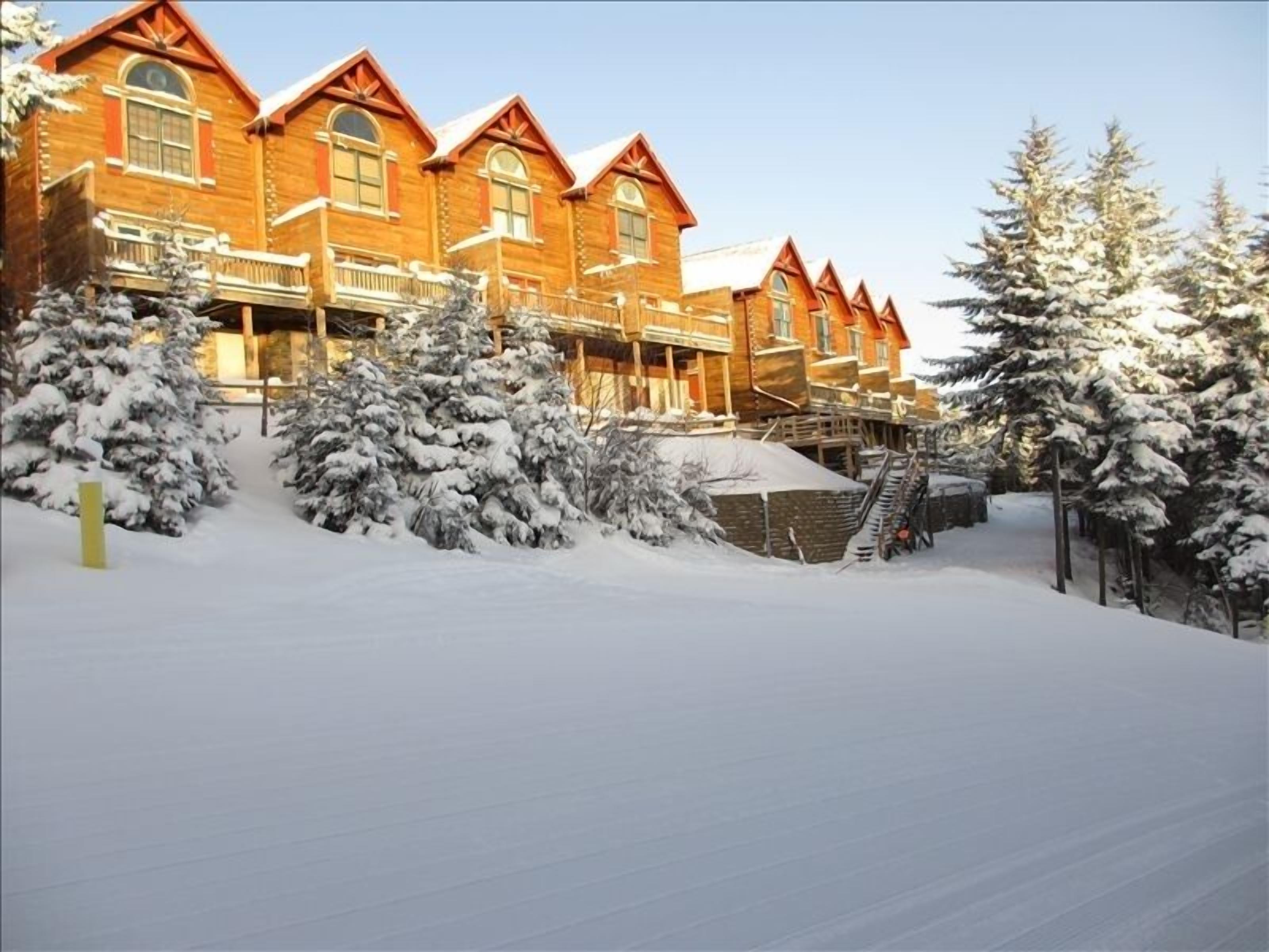 Loggers Run - True Ski-in/Out Sleeps 14 Hot Tub & Garage