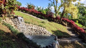 Ein Garten mit einem Springbrunnen aus Stein, üppigem Grün und verschiedenen Pflanzen.