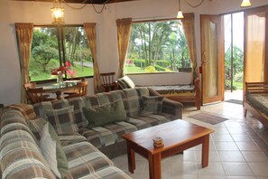 Smart TV, fireplace, DVD player, books
