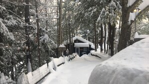 A snow-covered forest with a cabin and a fenced area. - Pine Creek Treehouse (Gaines)