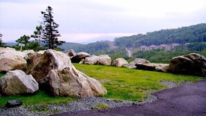 A grassy area with large rocks and a single tree. - Spectacular Mile High View,Free Wifi-Pool-Smart Tvs-W&D-Gym-No hidden fees ! (Banner Elk)